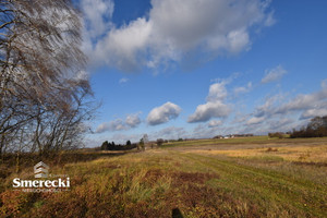 Działka na sprzedaż 105000m2 chełmski Sawin Średni Łan - zdjęcie 1