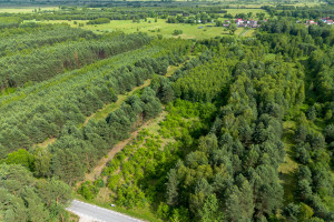 Działka na sprzedaż 14100m2 częstochowski Dąbrowa Zielona Lipie - zdjęcie 3