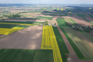 Działka na sprzedaż 6286m2 miechowski Gołcza Cieplice - zdjęcie 2