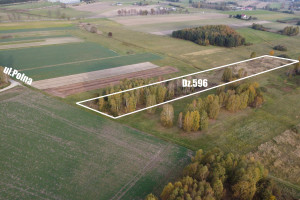 Działka na sprzedaż 10600m2 częstochowski Kłomnice Pacierzów - zdjęcie 3