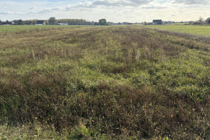 Działka na sprzedaż 1959m2 kłobucki Przystajń Brzeziny - zdjęcie 3