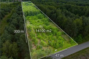 Działka na sprzedaż 14100m2 częstochowski Dąbrowa Zielona Lipie - zdjęcie 1