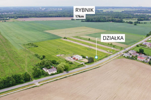 Działka na sprzedaż 9760m2 gliwicki Pilchowice Nieborowice - zdjęcie 3