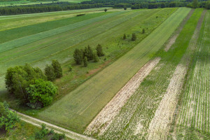 Działka na sprzedaż 9270m2 częstochowski Mstów Kobyłczyce - zdjęcie 3