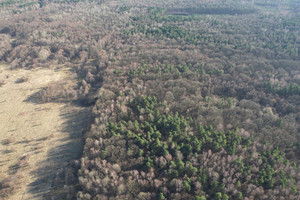 Działka na sprzedaż 6099m2 częstochowski Kamienica Polska - zdjęcie 3