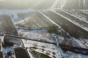 Działka na sprzedaż 15144m2 kłobucki Wręczyca Wielka Piła Druga - zdjęcie 3