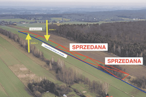 Działka na sprzedaż 3000m2 brzeziński Brzeziny Polik Polik - zdjęcie 1