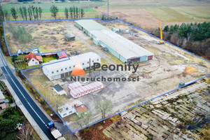 Komercyjne na sprzedaż 5000m2 człuchowski Rzeczenica - zdjęcie 1