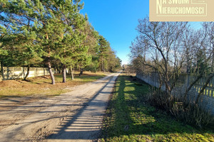 Działka na sprzedaż 1500m2 poddębicki Zadzim Skęczno - zdjęcie 3