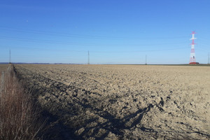 Działka na sprzedaż trzebnicki Wisznia Mała Szewce - zdjęcie 1