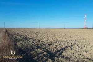 Działka na sprzedaż trzebnicki Wisznia Mała Szewce - zdjęcie 2