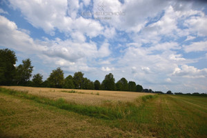 Działka na sprzedaż 18686m2 hajnowski Hajnówka - zdjęcie 1