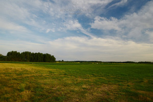 Działka na sprzedaż 55800m2 grajewski Grajewo Szymany - zdjęcie 2