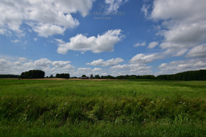 Działka na sprzedaż 11095m2 grajewski Rajgród - zdjęcie 1