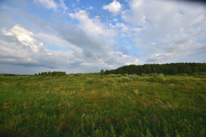 Działka na sprzedaż 18107m2 hajnowski Dubicze Cerkiewne Istok - zdjęcie 2