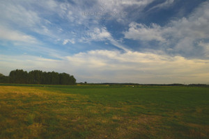 Działka na sprzedaż 43584m2 grajewski Grajewo - zdjęcie 2