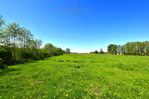 Działka na sprzedaż 3000m2 grajewski Grajewo - zdjęcie 3