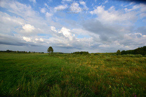 Działka na sprzedaż 18107m2 hajnowski Dubicze Cerkiewne Istok - zdjęcie 1