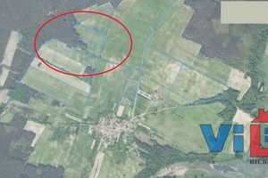 Działka na sprzedaż 3950m2 zielonogórski Zabór Dąbrowa - zdjęcie 3