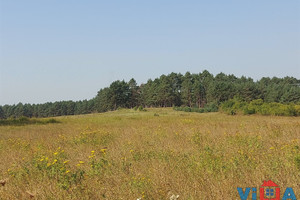 Działka na sprzedaż 3950m2 zielonogórski Zabór Dąbrowa - zdjęcie 1