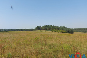 Działka na sprzedaż 13100m2 zielonogórski Zabór Droszków - zdjęcie 1