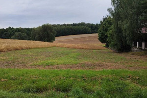 Działka na sprzedaż 1200m2 Jastrzębie-Zdrój - zdjęcie 1