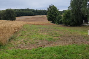 Działka na sprzedaż 1200m2 Jastrzębie-Zdrój - zdjęcie 2