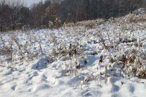 Działka na sprzedaż 848m2 Bielsko-Biała Lipnik - zdjęcie 1