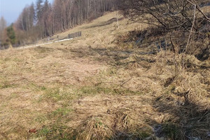 Działka na sprzedaż 3400m2 żywiecki Radziechowy-Wieprz Bystra - zdjęcie 1