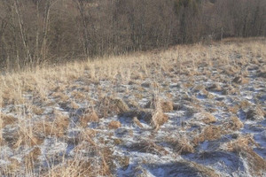 Działka na sprzedaż 1100m2 żywiecki Jeleśnia Korbielów - zdjęcie 1