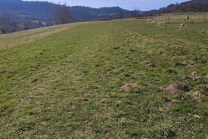 Działka na sprzedaż 1447m2 żywiecki Milówka Kamesznica - zdjęcie 1