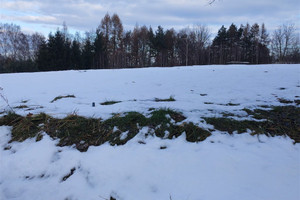 Działka na sprzedaż 799m2 rybnicki Świerklany Jankowice - zdjęcie 4