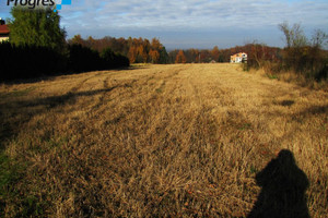 Działka na sprzedaż cieszyński Skoczów Ochaby Małe - zdjęcie 2