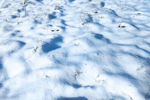 Działka na sprzedaż Bielsko-Biała Lipnik - zdjęcie 1