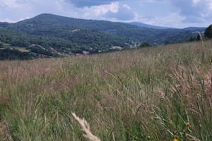 Działka na sprzedaż 1700m2 żywiecki Jeleśnia Korbielów - zdjęcie 4