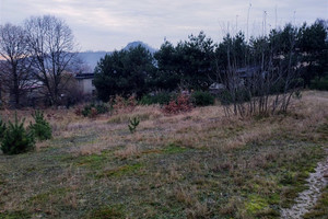 Działka na sprzedaż Rybnik Popielów - zdjęcie 2