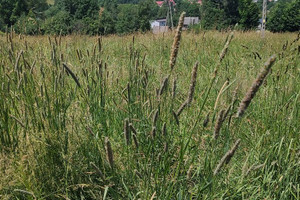 Działka na sprzedaż 783m2 żywiecki Jeleśnia Korbielów - zdjęcie 2