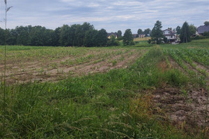 Działka na sprzedaż 1018m2 bielski Wilamowice Dankowice - zdjęcie 3