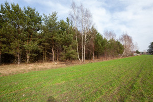 Działka na sprzedaż 1000m2 legionowski Serock Wola Smolana Zagajnik - zdjęcie 1