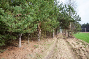 Działka na sprzedaż 1000m2 legionowski Serock Wola Smolana Zagajnik - zdjęcie 3