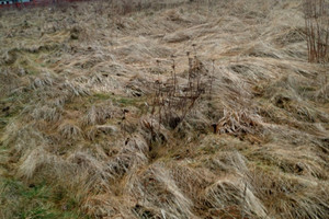 Działka na sprzedaż 718m2 zgorzelecki Zgorzelec Łagów - zdjęcie 3