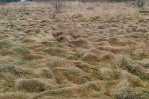 Działka na sprzedaż 748m2 zgorzelecki Zgorzelec Łagów - zdjęcie 3