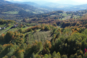 Działka na sprzedaż 6500m2 żywiecki Jeleśnia Pewel Wielka - zdjęcie 1