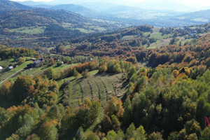 Działka na sprzedaż 6500m2 żywiecki Jeleśnia Pewel Wielka - zdjęcie 1