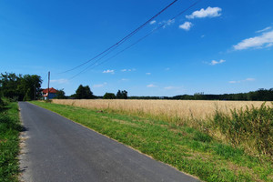 Działka na sprzedaż 1001m2 goleniowski Stepnica Żarnowo - zdjęcie 3