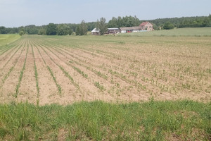 Działka na sprzedaż 1100m2 białostocki Dobrzyniewo Duże Pogorzałki - zdjęcie 2