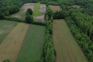 Działka na sprzedaż 10800m2 radomski Gózd Drożanki - zdjęcie 3