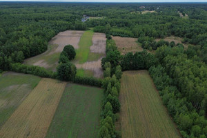 Działka na sprzedaż 10800m2 radomski Gózd Drożanki - zdjęcie 2