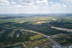 Działka na sprzedaż 48300m2 żyrardowski Mszczonów Marków-Świnice Spacerowa - zdjęcie 2