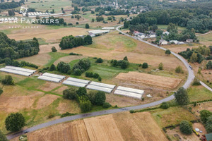 Działka na sprzedaż 7100m2 białobrzeski Wyśmierzyce Ulaski Grzmiąckie - zdjęcie 3